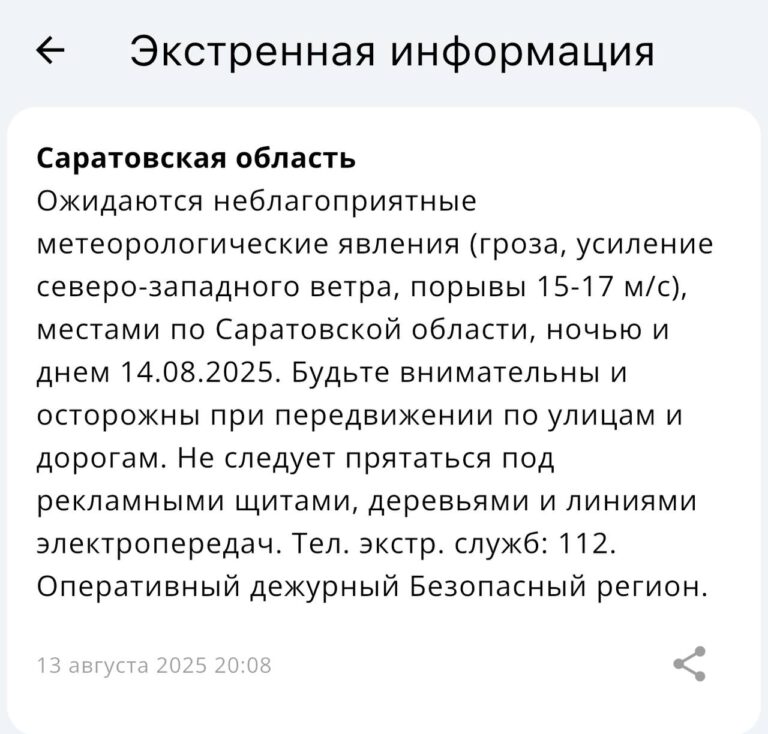 photo-1755102720731-rs1cdzkbi