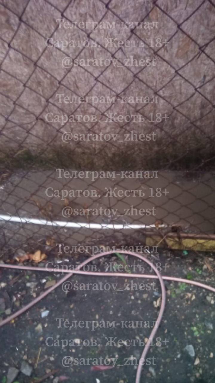photo-1755109140466-lxkm0e2gw