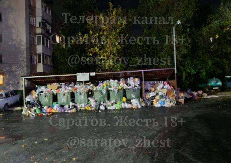 photo-1755114120817-r32v5wqp9
