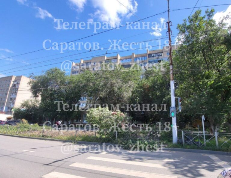 photo-1755169620506-m9yf219qq