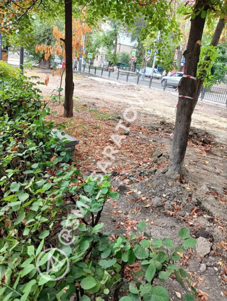 photo-1755336840870-ph4rrnsfm