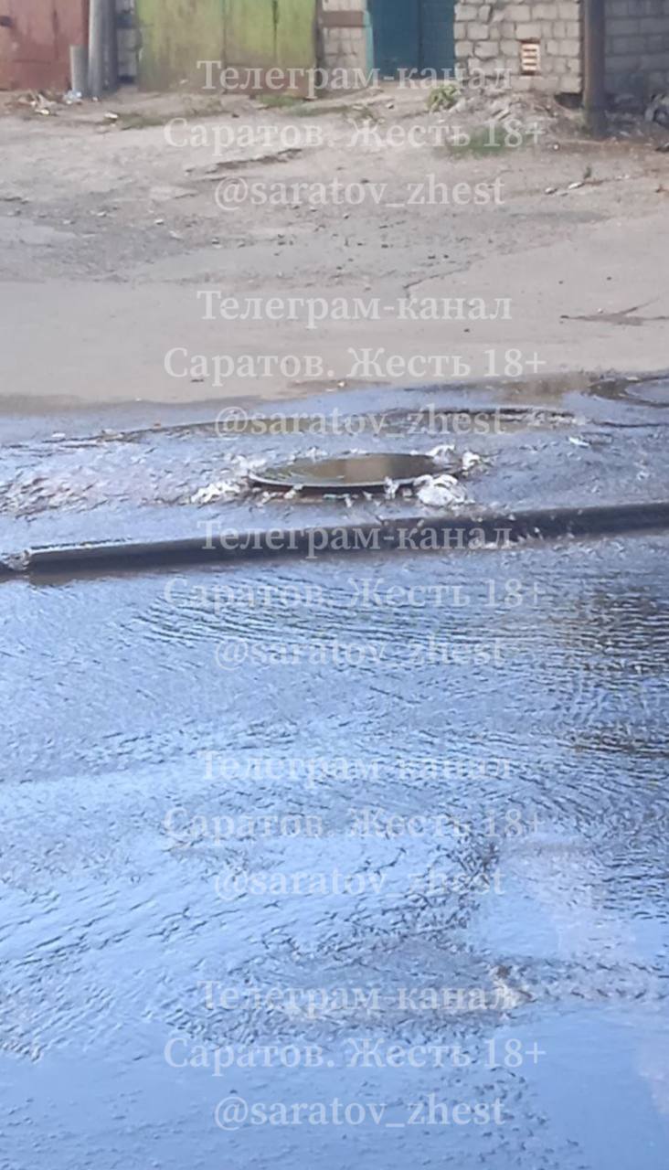 photo-1755377580769-093vs4l3k