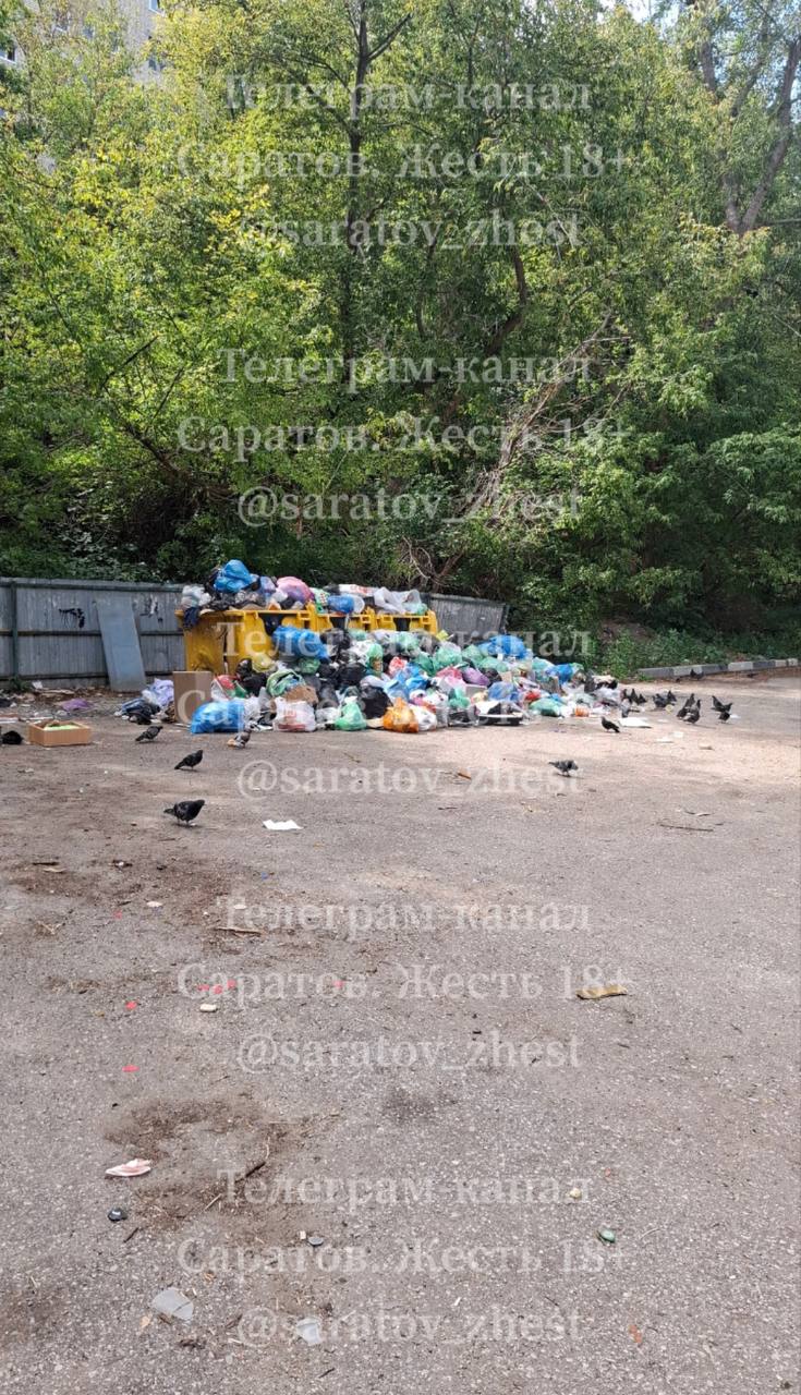 photo-1755427440884-8umt60v7m