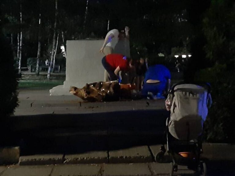 photo-1755456000381-cd2v6hlxu