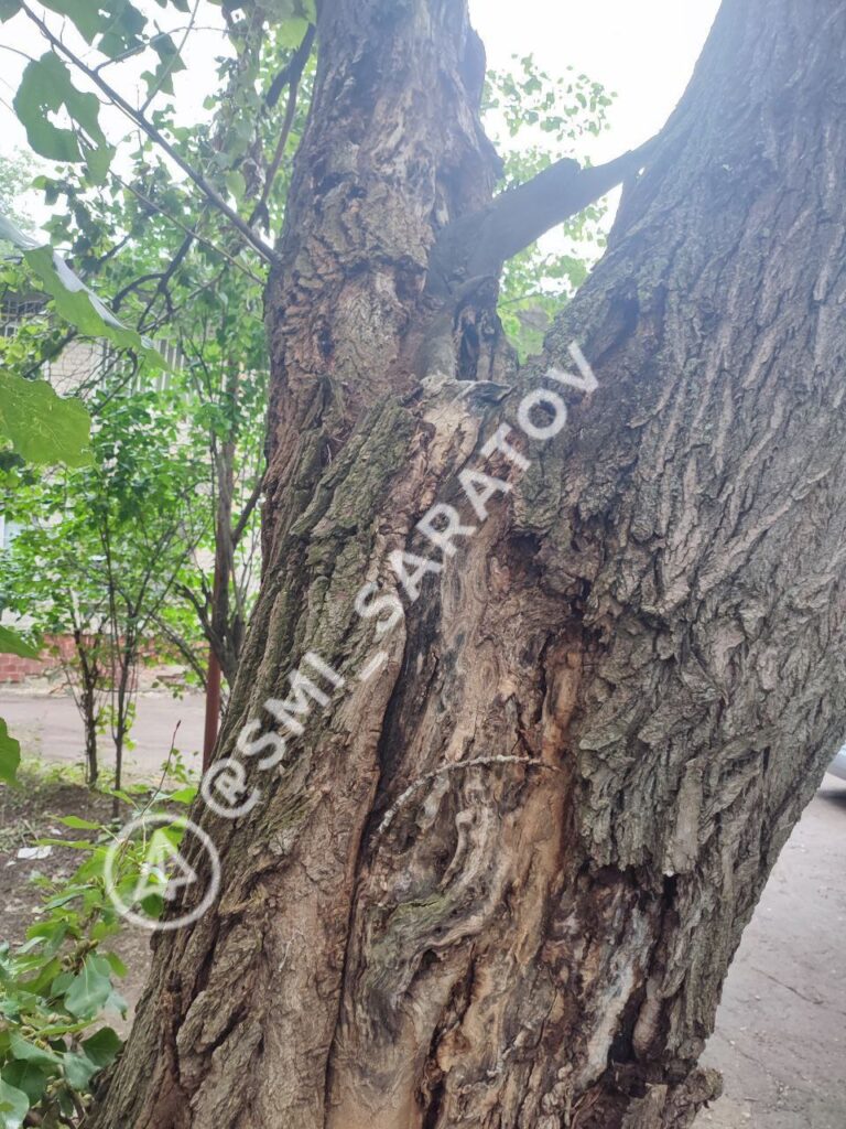 photo_1755746531770