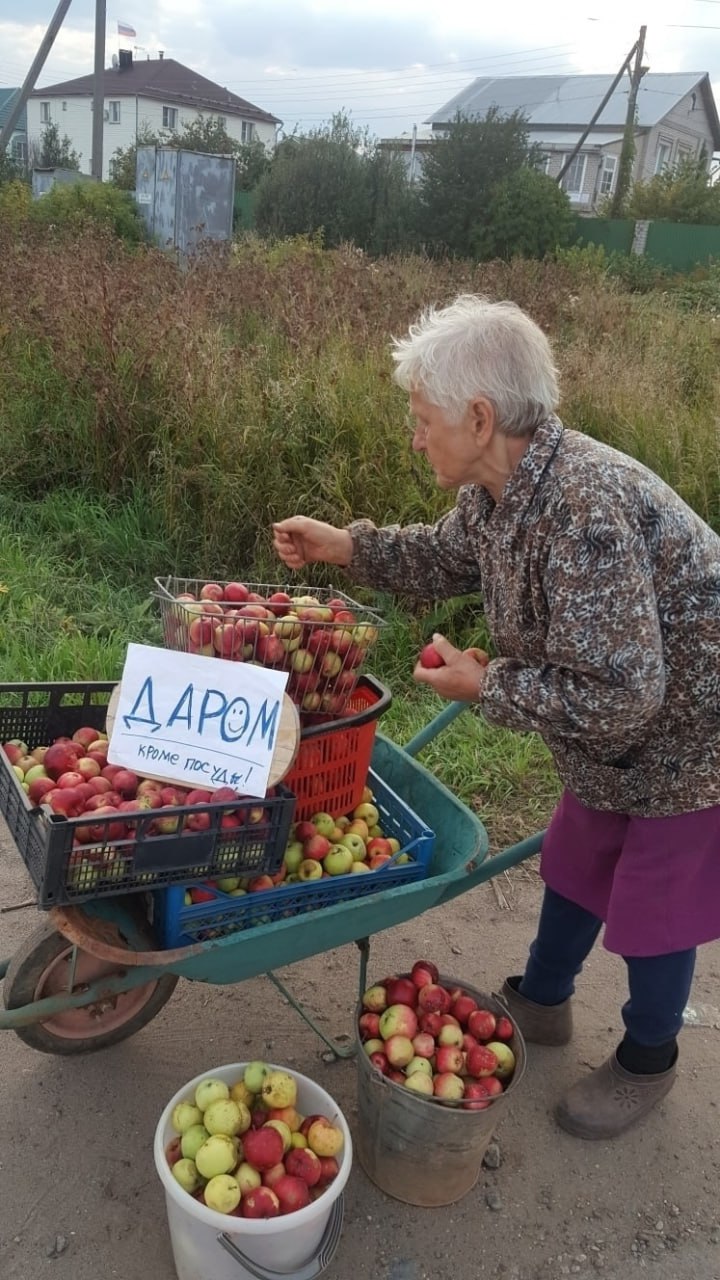 photo_1755982142452