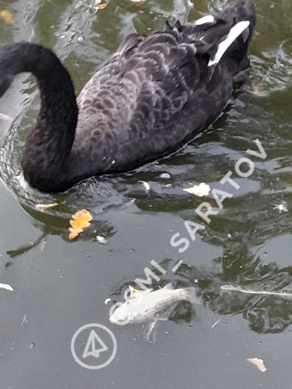 photo_1756233242458