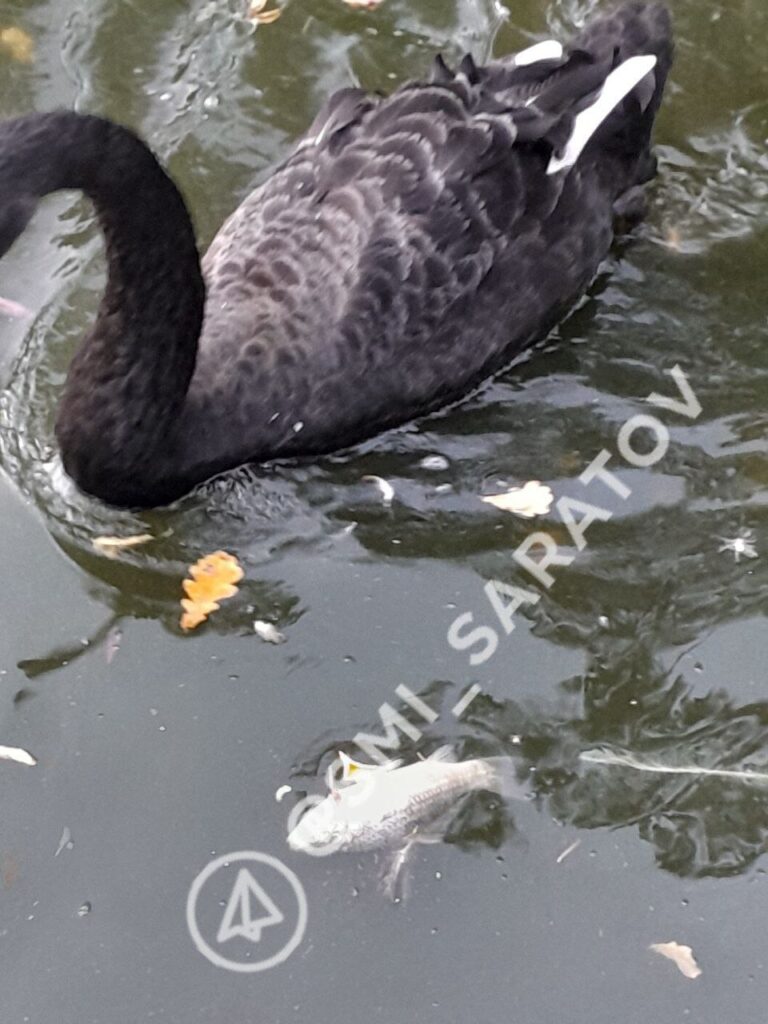 photo_1756233545205
