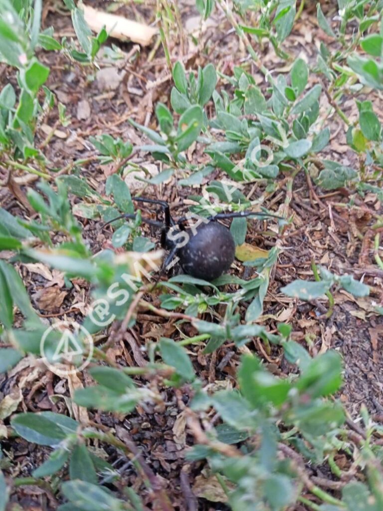 photo_1756815891919