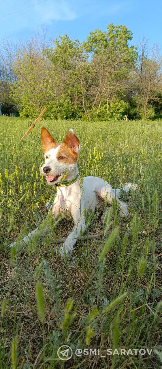 photo_1756816214352