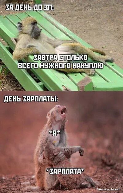 photo_1756819134957