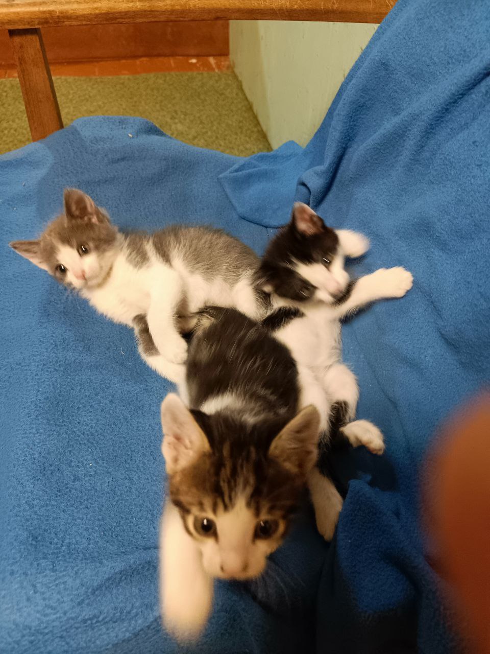 photo_1756819668658