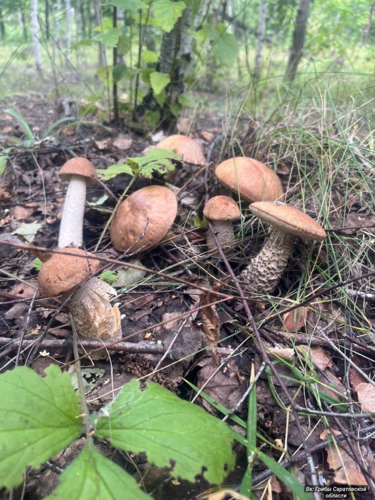 photo_1756828262404