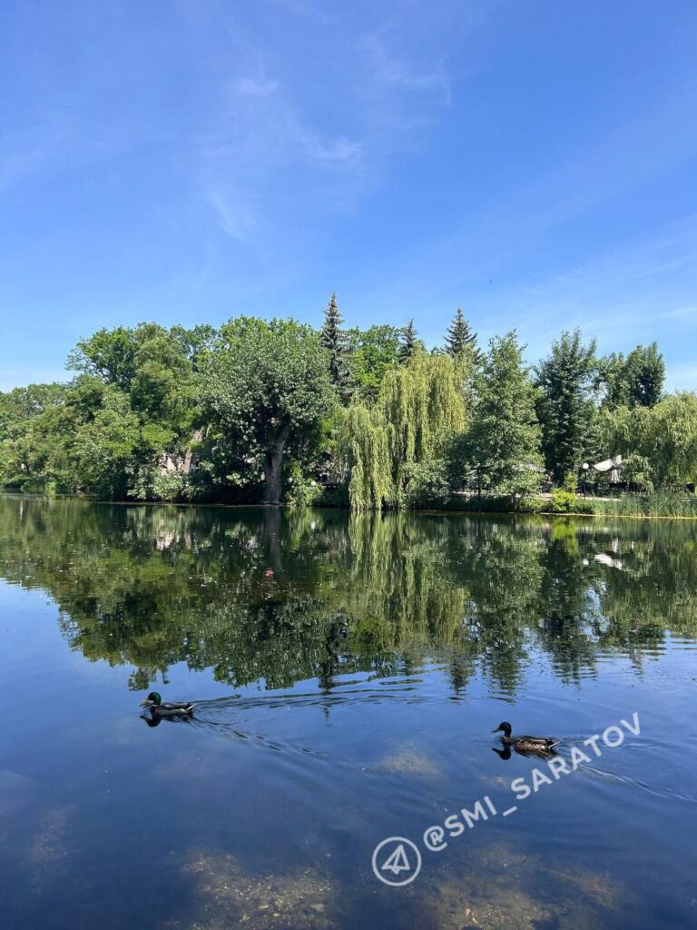 photo_1756850642217
