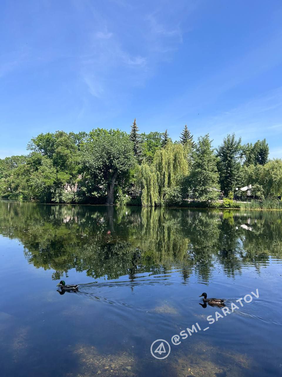 photo_1756850642217