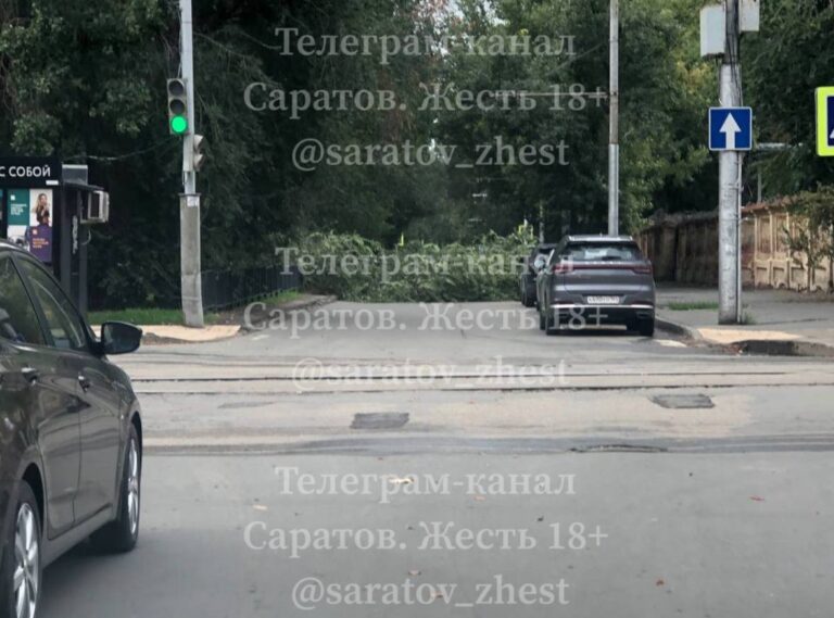 photo_1756885681081