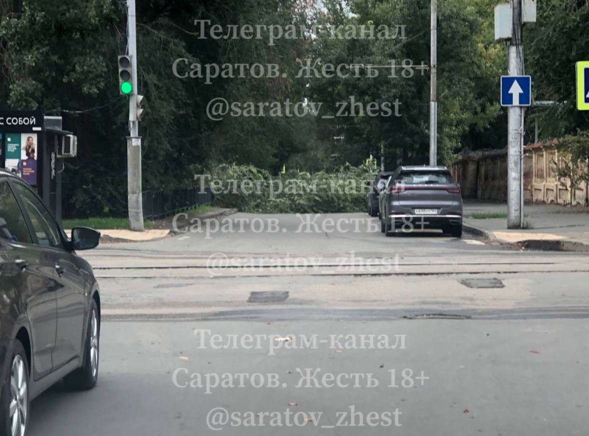 photo_1756885681081