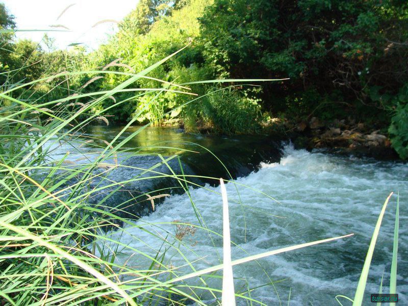 photo_1756920661681