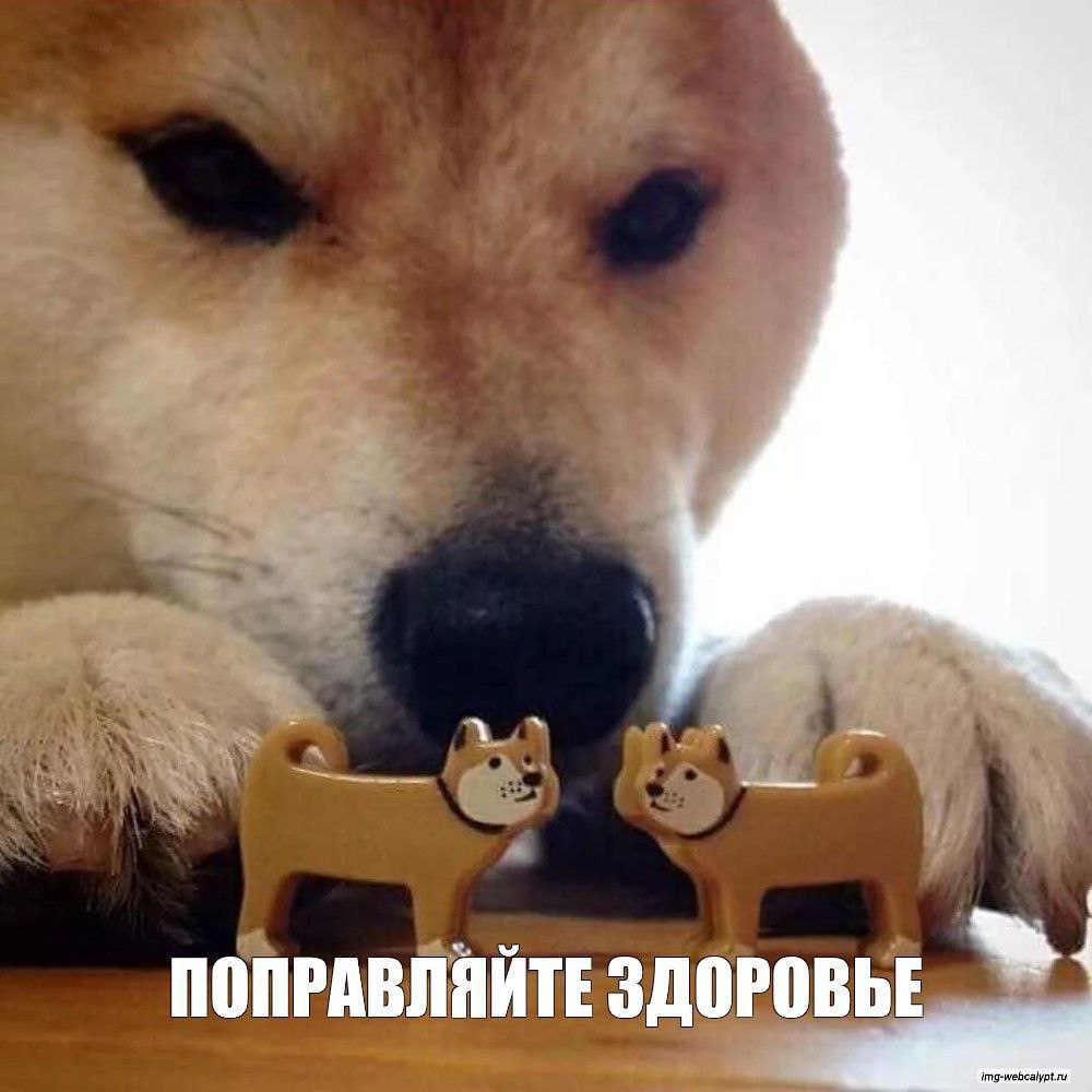 photo_1756975082944