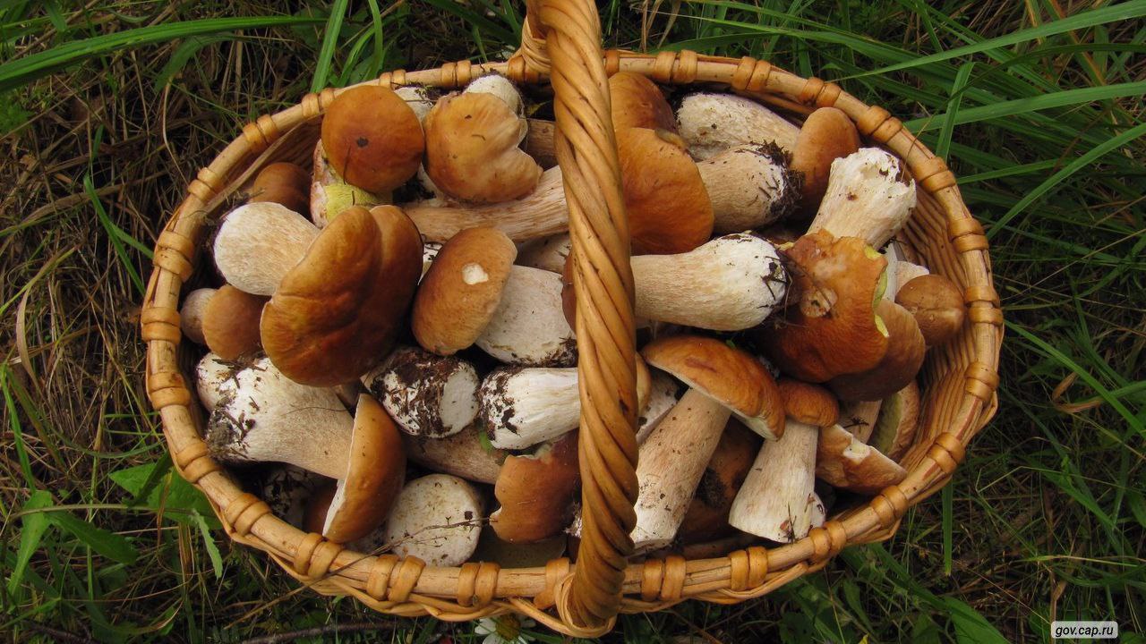 photo_1757015943051