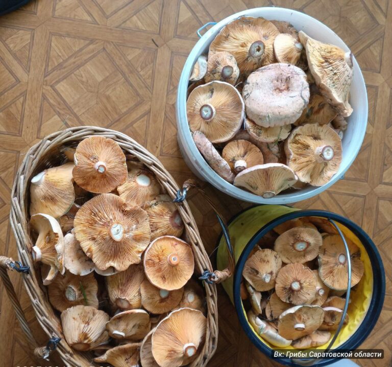 photo_1757316733982