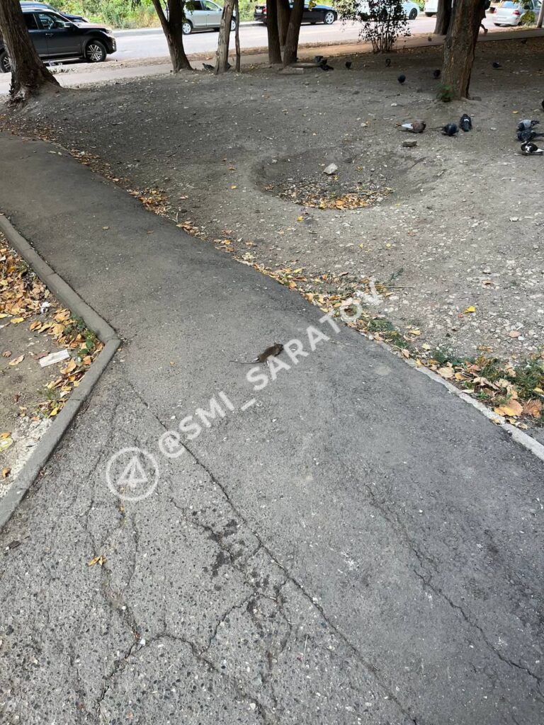 photo_1757387341664