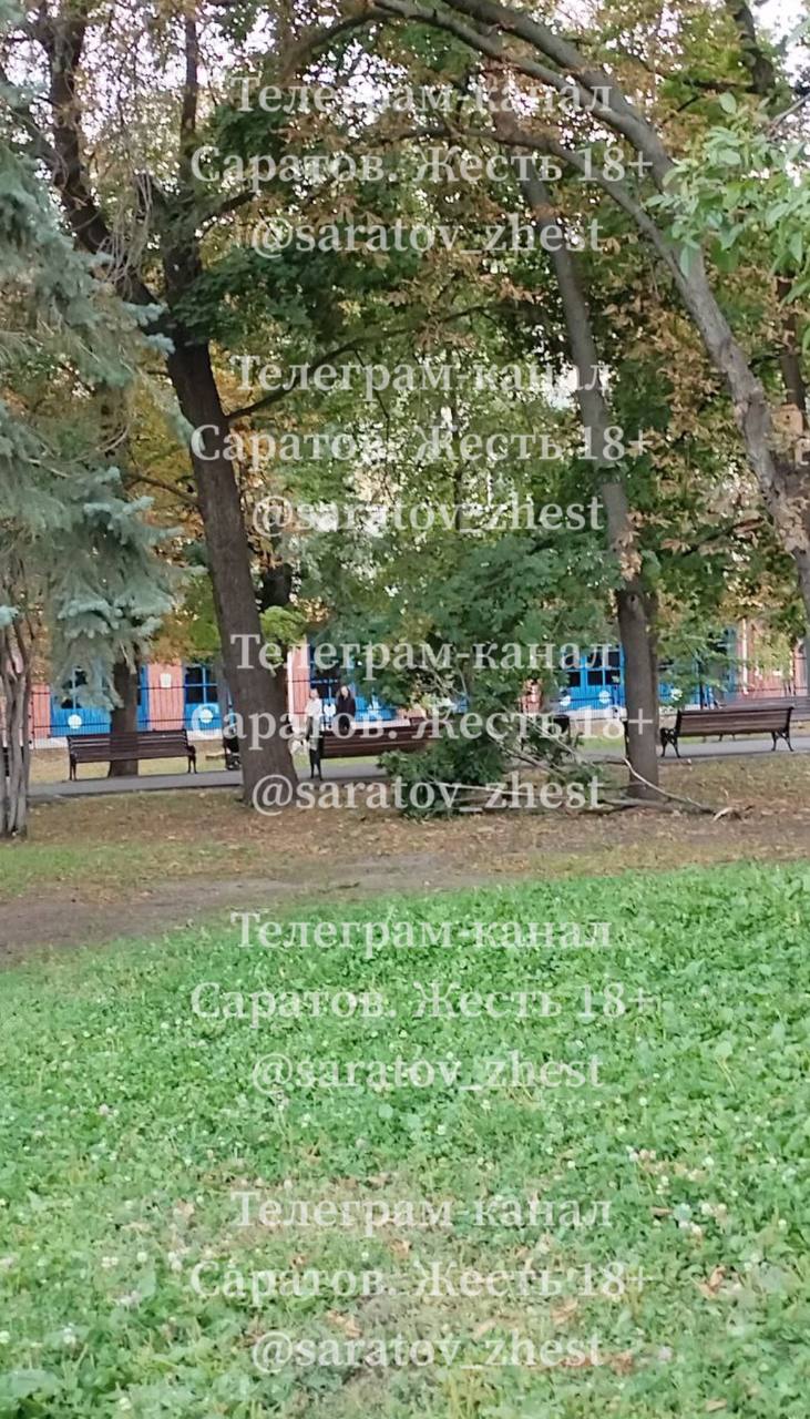 photo_1757439001825