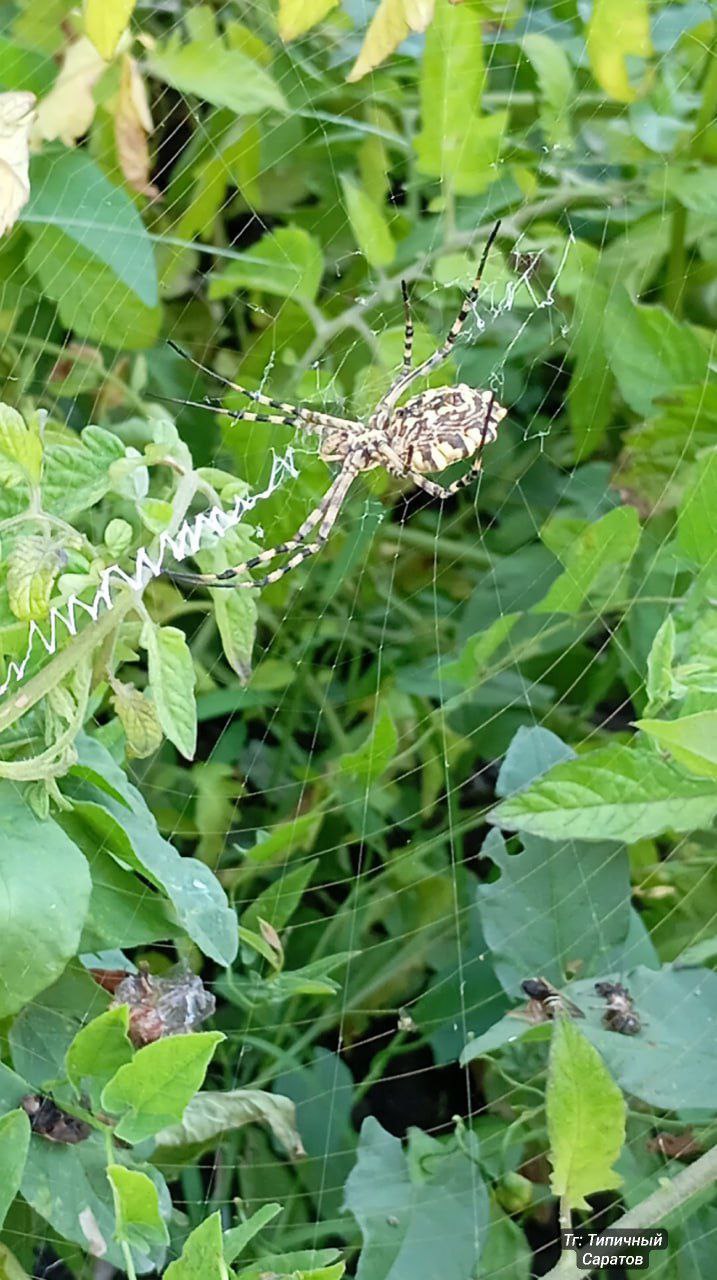 photo_1757534341812