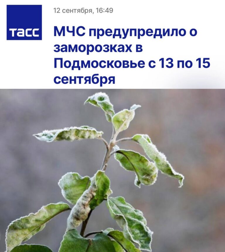 photo_1757692084535