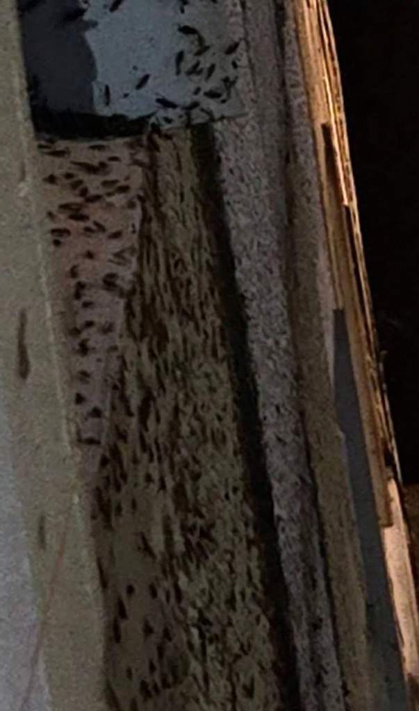 photo_1757749041865