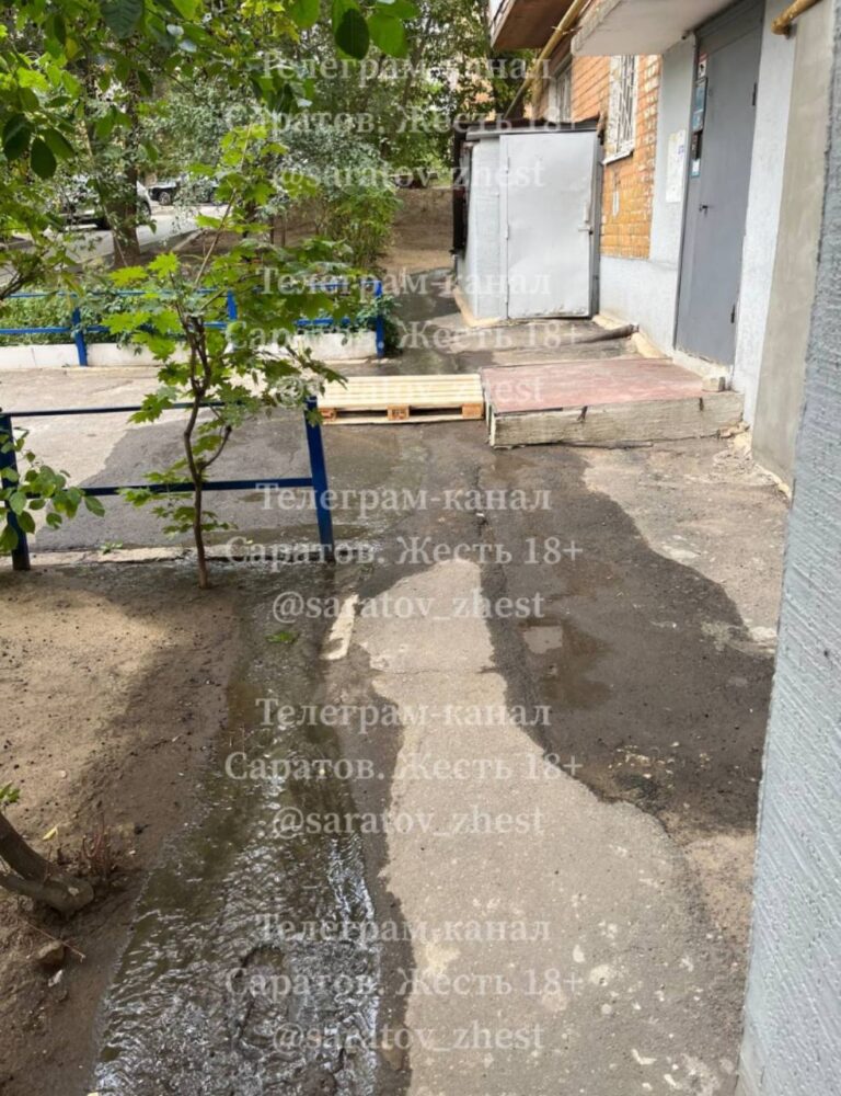photo_1758183542440