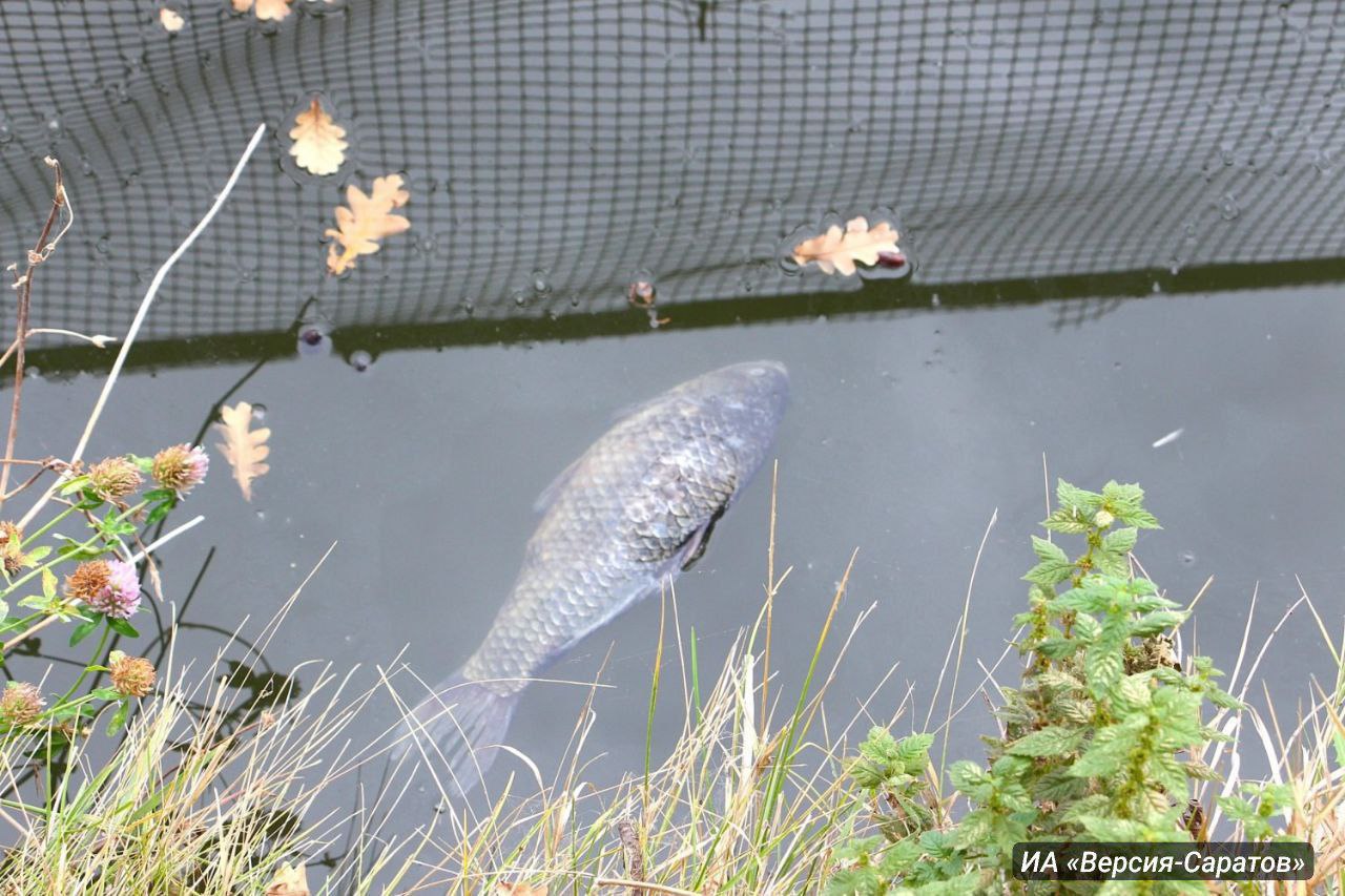 photo_1758465710718