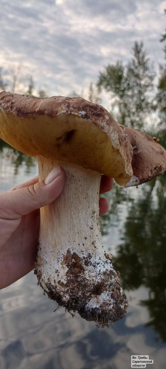 photo_1758552069965