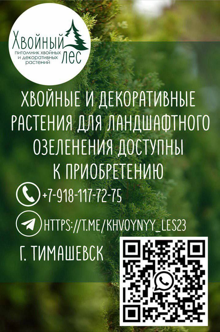 photo_1758559101694