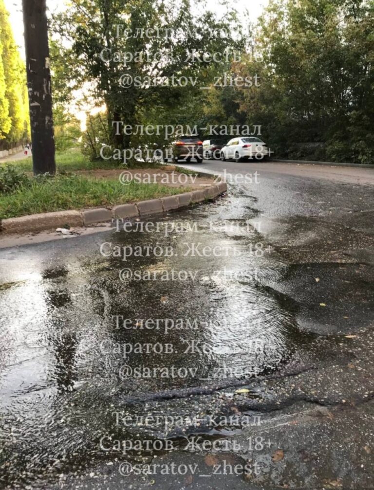 photo_1758605650670