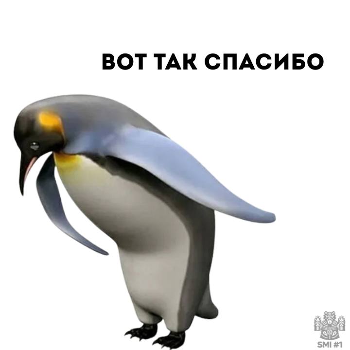 photo_1758719286986