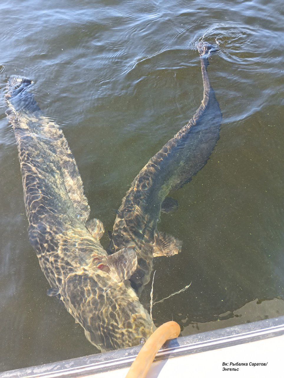 photo_1759115166407
