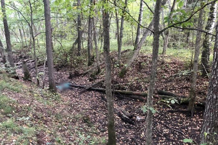 photo_1759415709478.jpg
