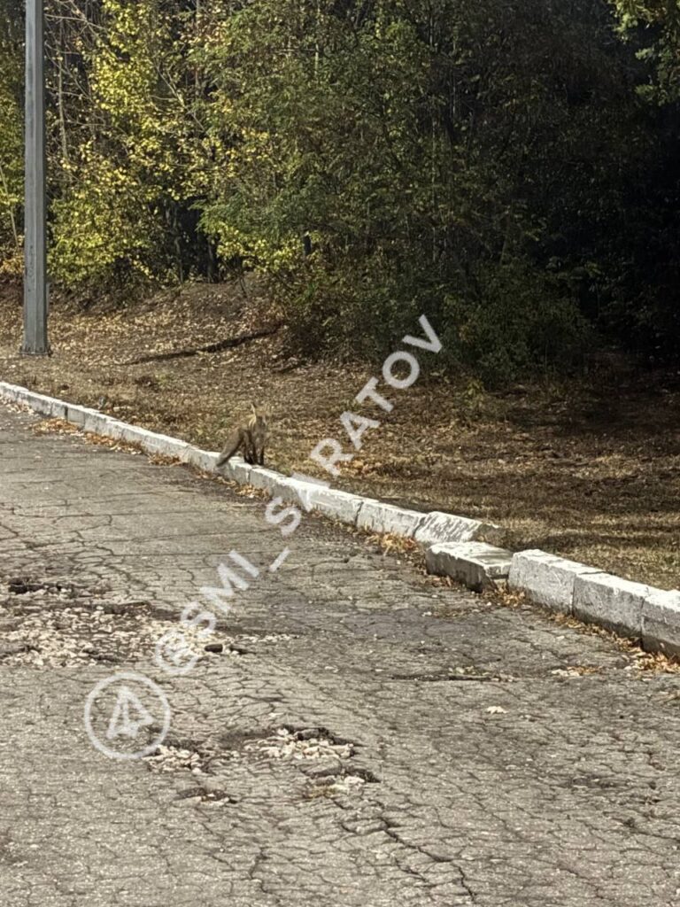 photo_1759440634818
