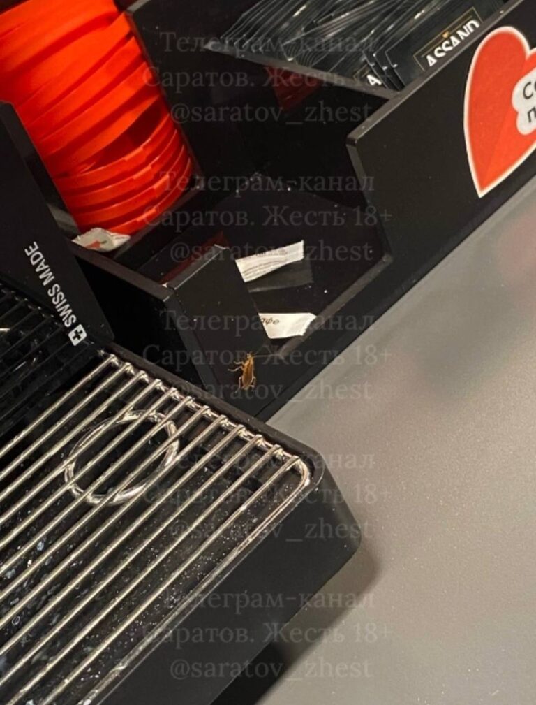 photo_1759489686695