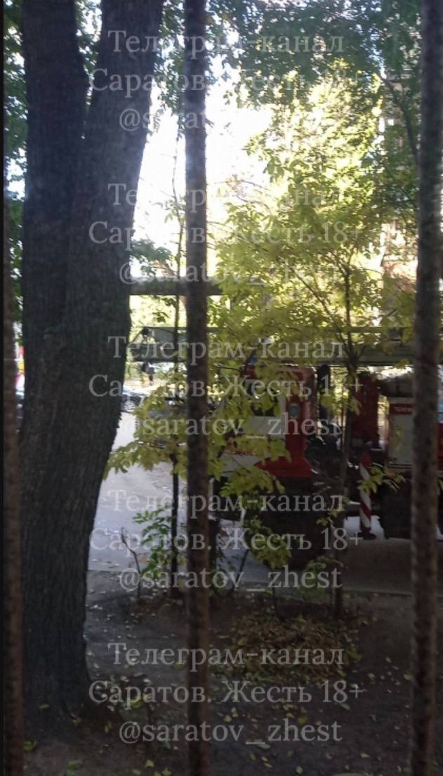 photo_1759494667903