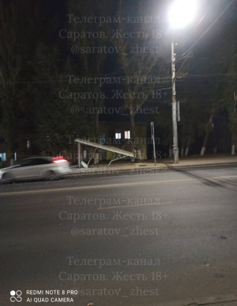 photo_1759508228081
