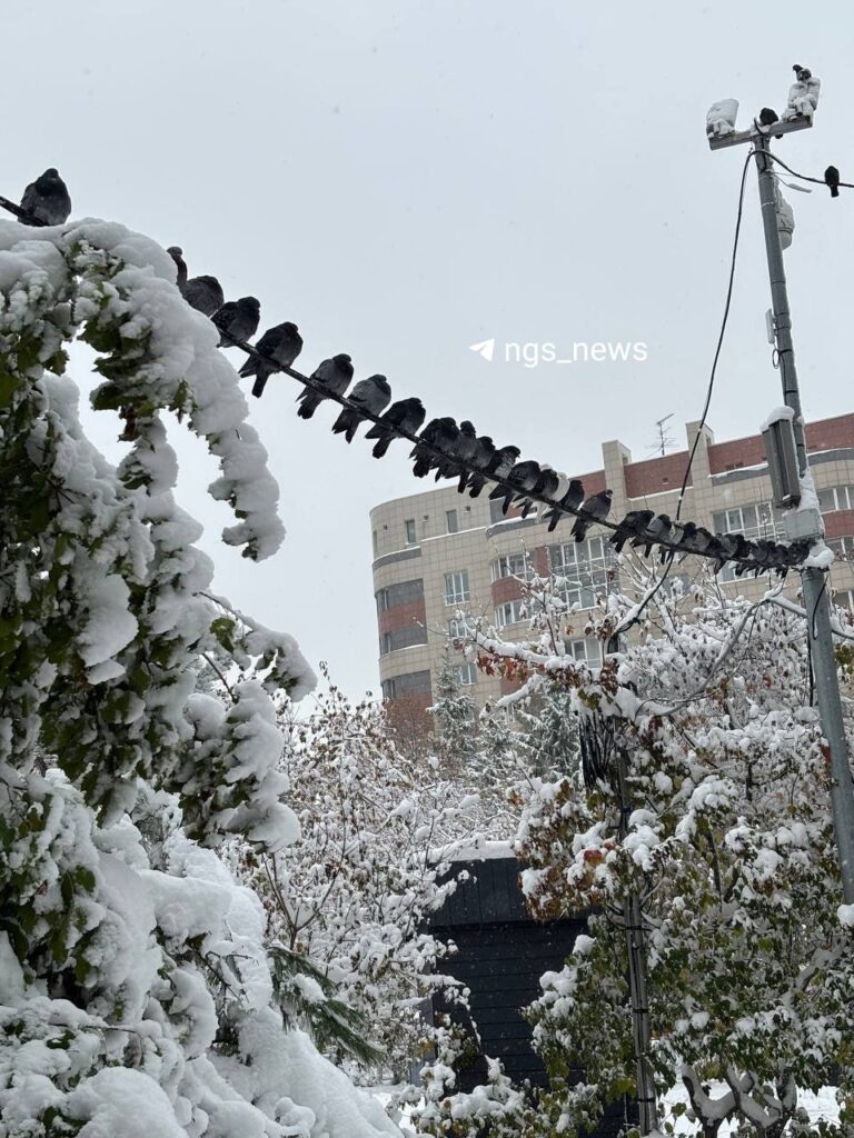 photo_1760008577200