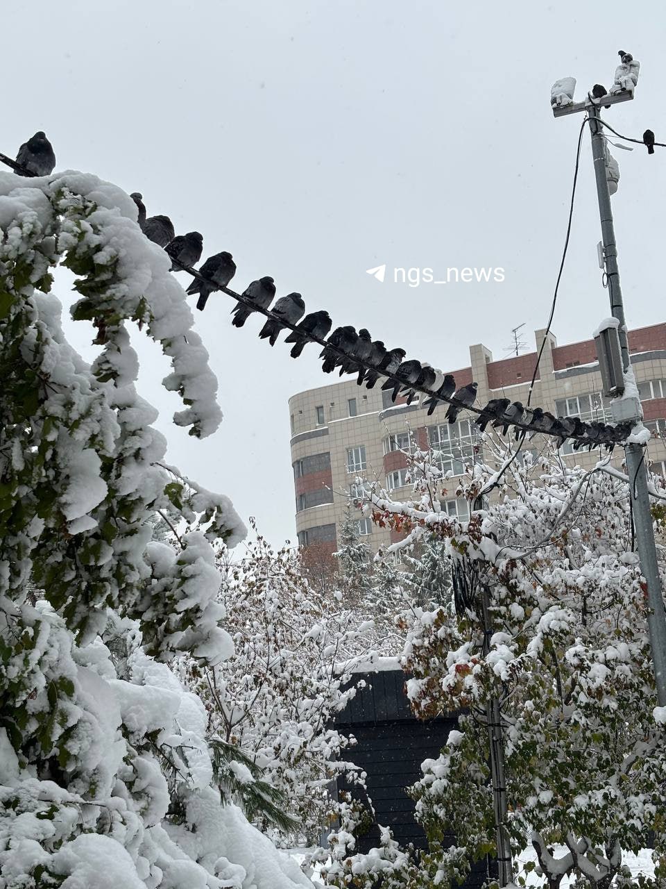 photo_1760008577200