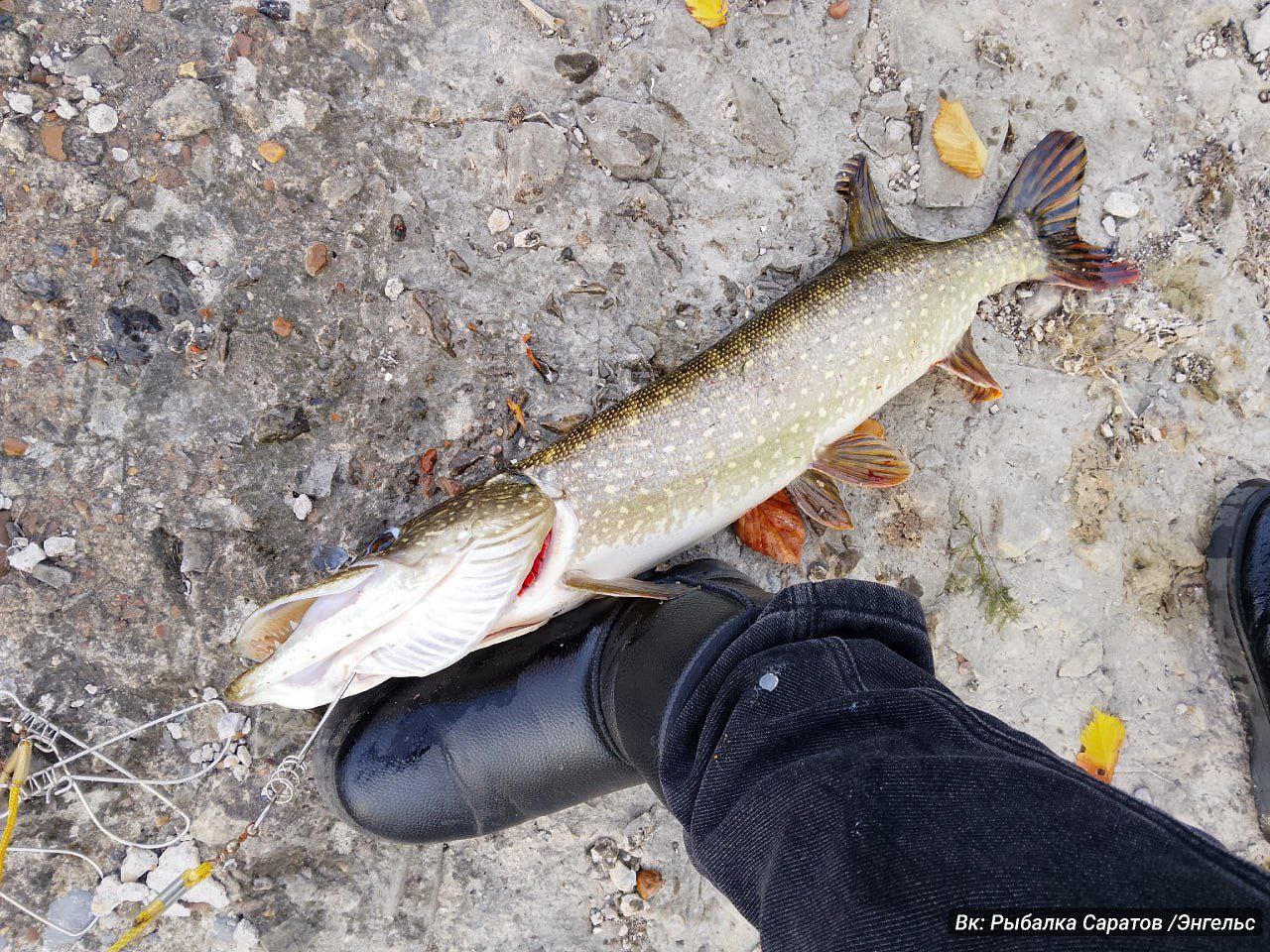 photo_1760024228425