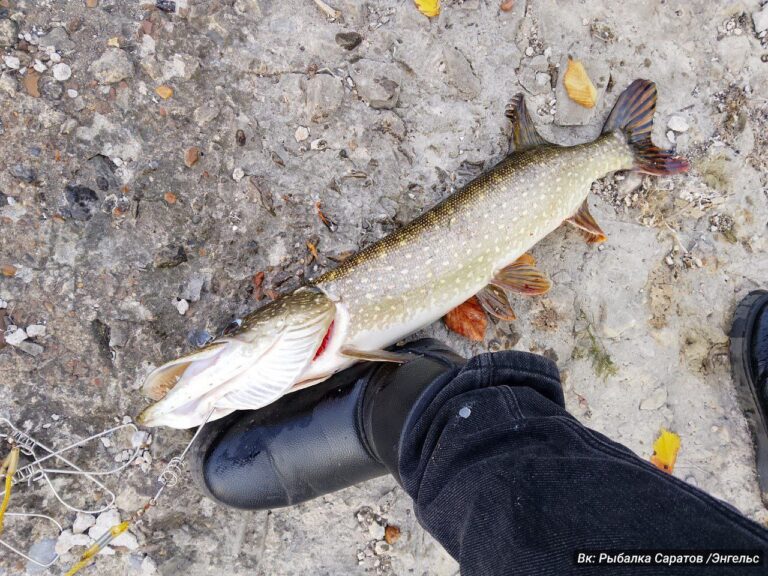 photo_1760024232175
