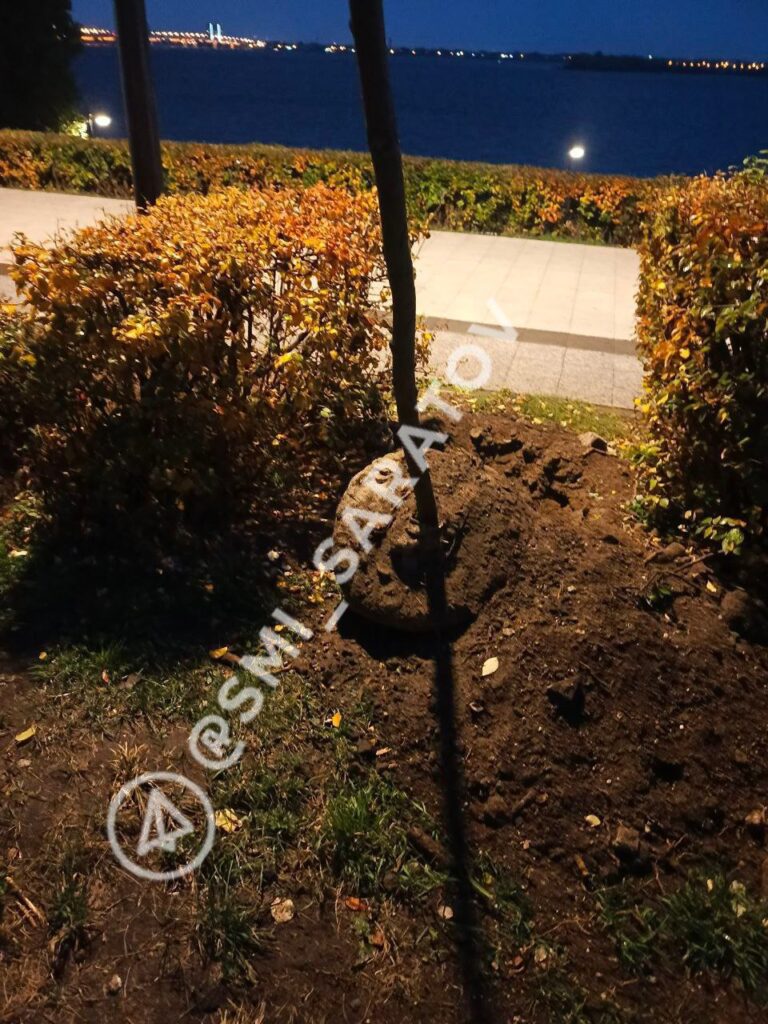 photo_1760282113969