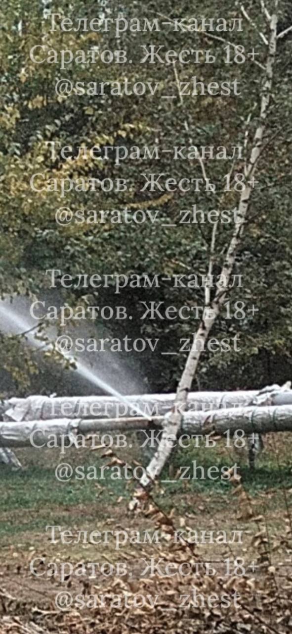 photo_1760363346941