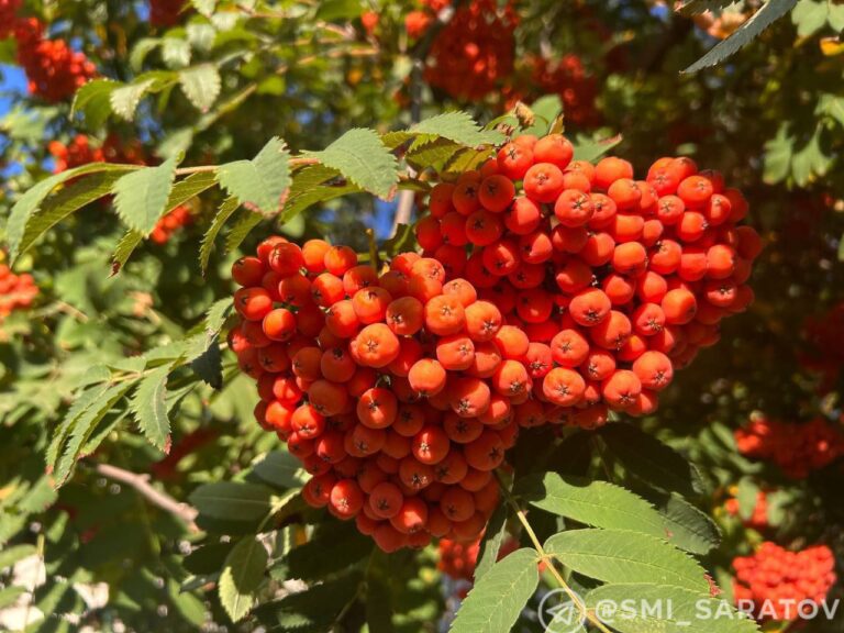 photo_1760379607515