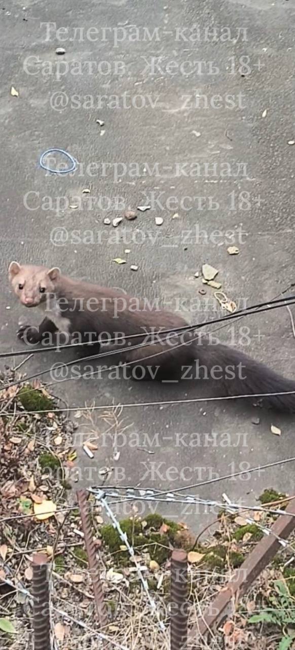 photo_1760447292070